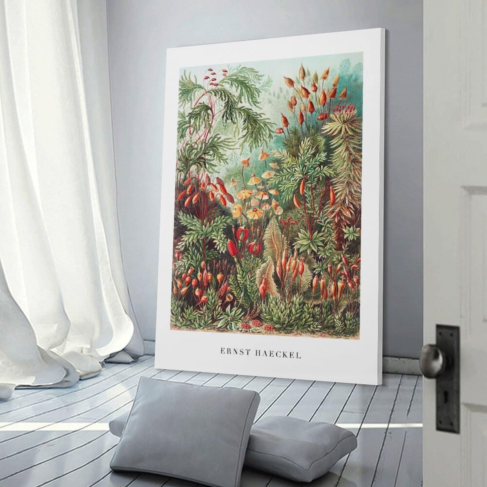 Junmoney Botanical Illustration by Ernst Haeckel Canvas Wall Picture 20x30inch(50x75cm), for Picture Wall Styling in Lounge Or Bedroom, Decorative Artwork with Flexible Styling