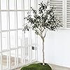 Product Photo 5