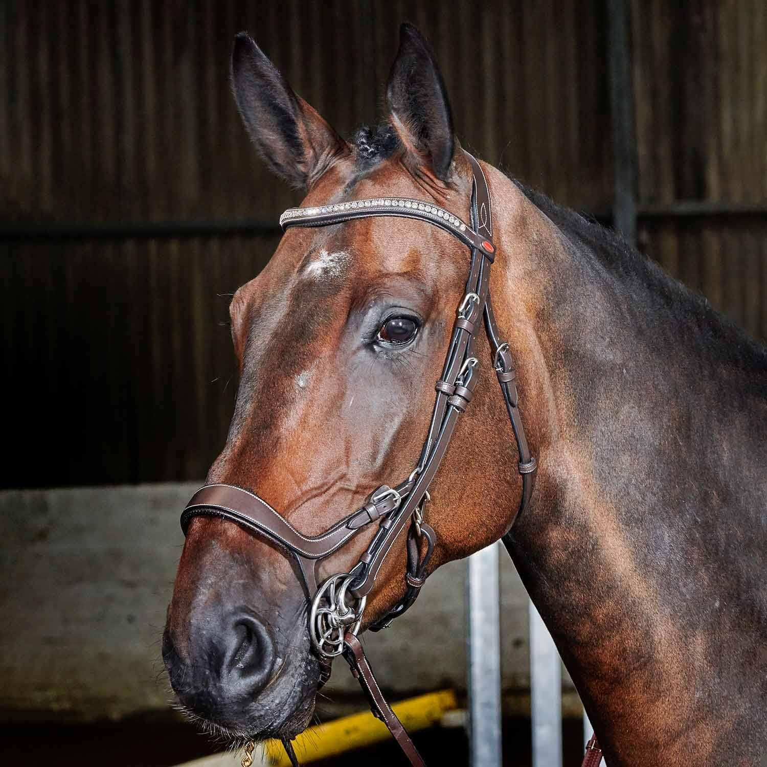 John Whitaker Chicago Anatomic Perforated Snaffle Bridle Full Size Brown