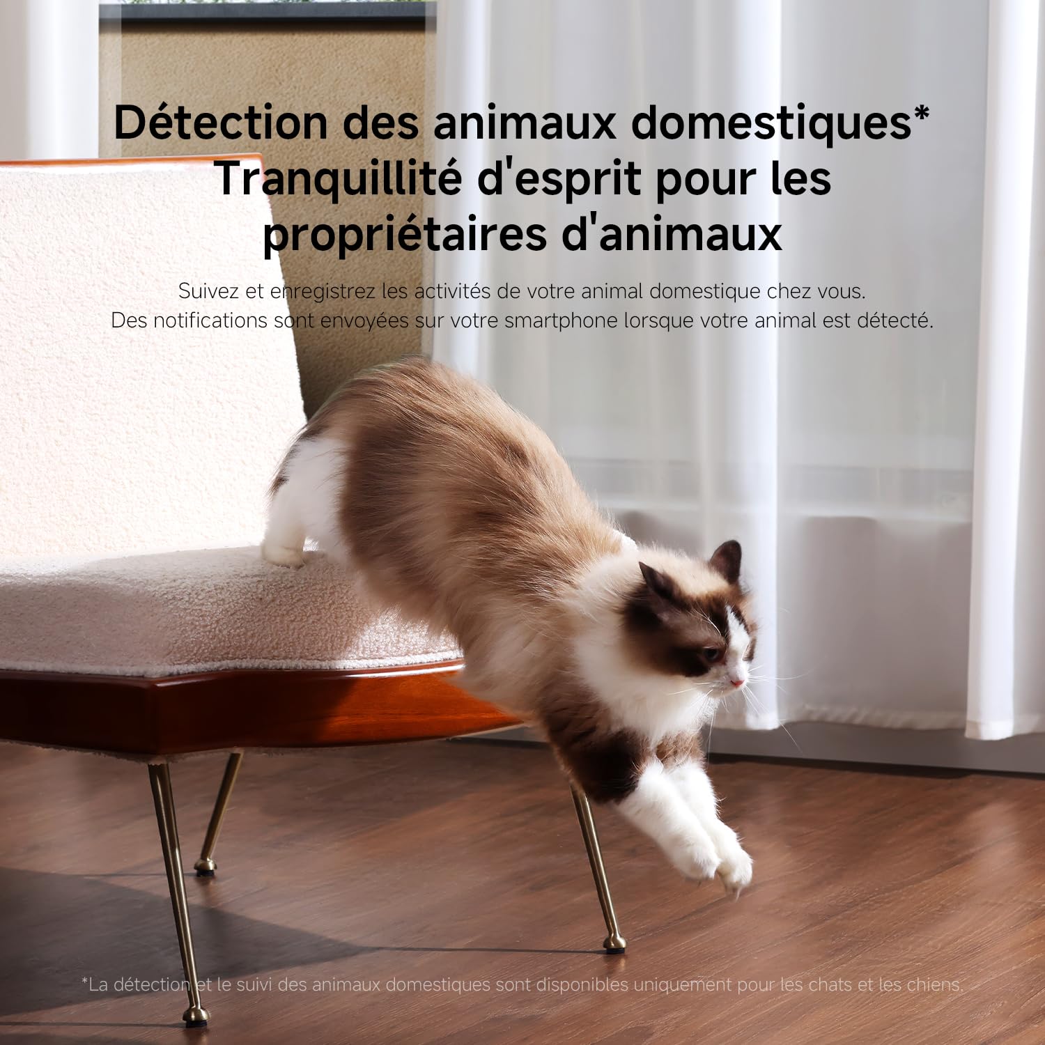 XIAOMI C500 Camera Interieur, 3,5K 6MP 360° Caméras de Surveillance, Alexa | Détection Personnes/Animaux, Suivi Auto, Couleurs Réelles En Faible Luminosité, Audio Bidirectionnel, Wi-Fi 6 2,4/5 GHz