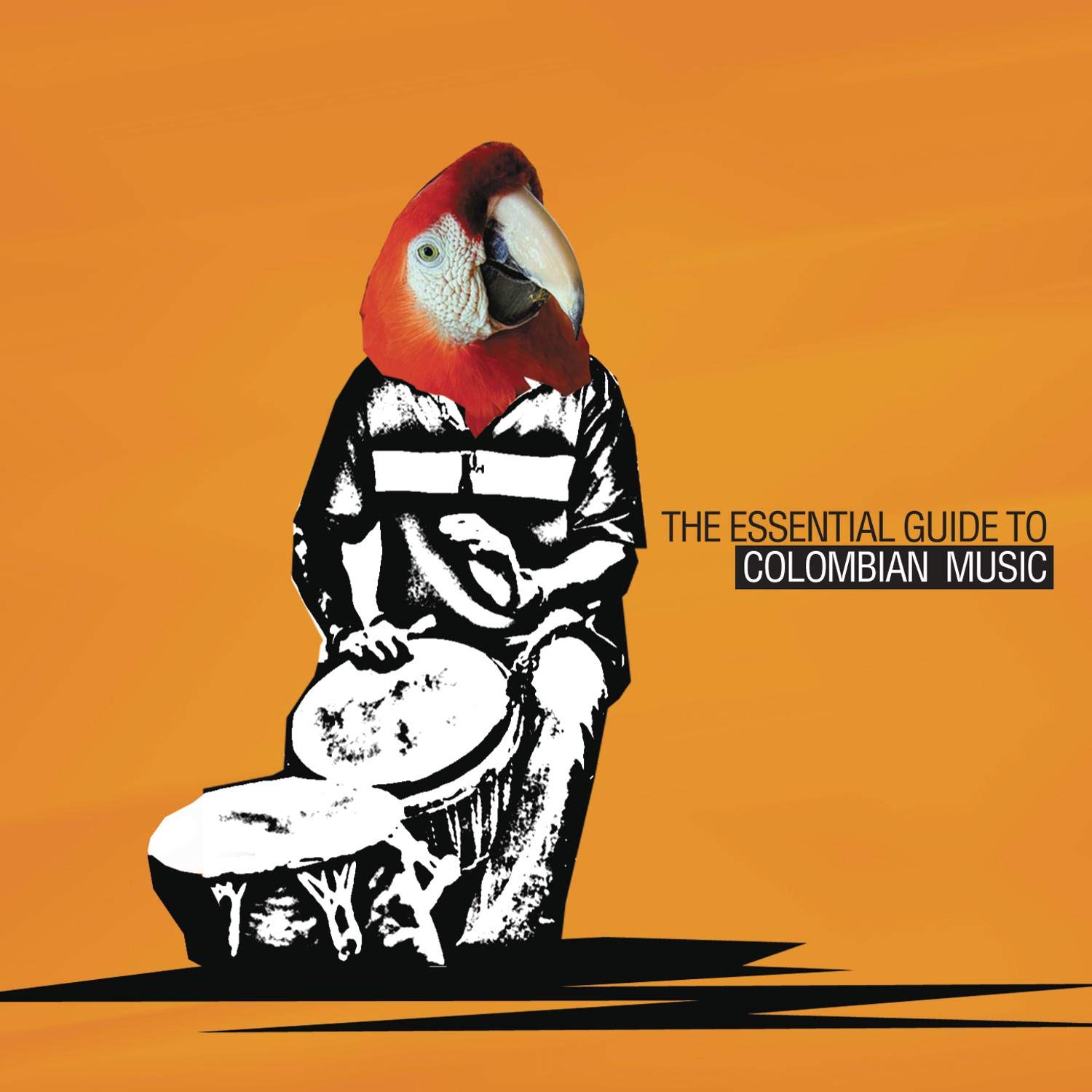 Essential Guide to Colombian Music
