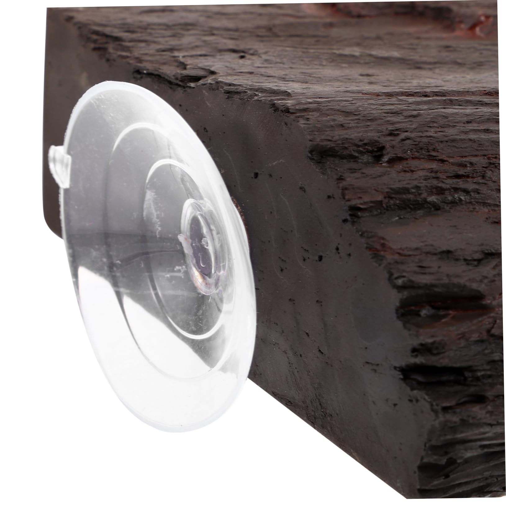 Toddmomy Per Tartarughe Accessorio per Habitat per Rettili Galleggiante e Luogo Basking per Tartarughe e Rettili