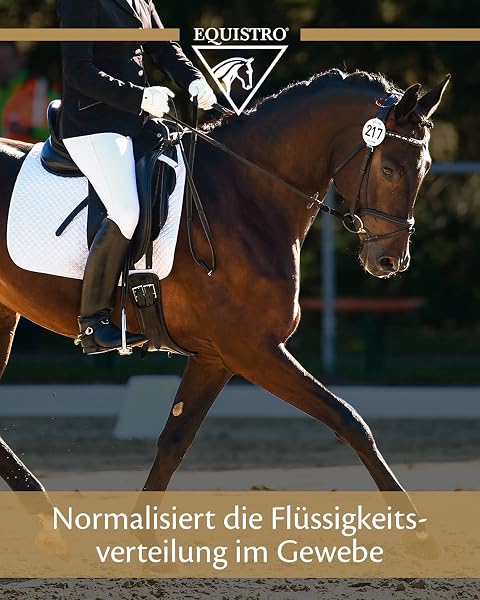 EQUISTRO® Percutin Paste | Pflegeprodukt für Pferde mit Tonerde, Arnika und Menthol | Normalisiert die Flüssigkeitsverteilung im Gewebe | Besonders wohltuend | 2.000g - 3
