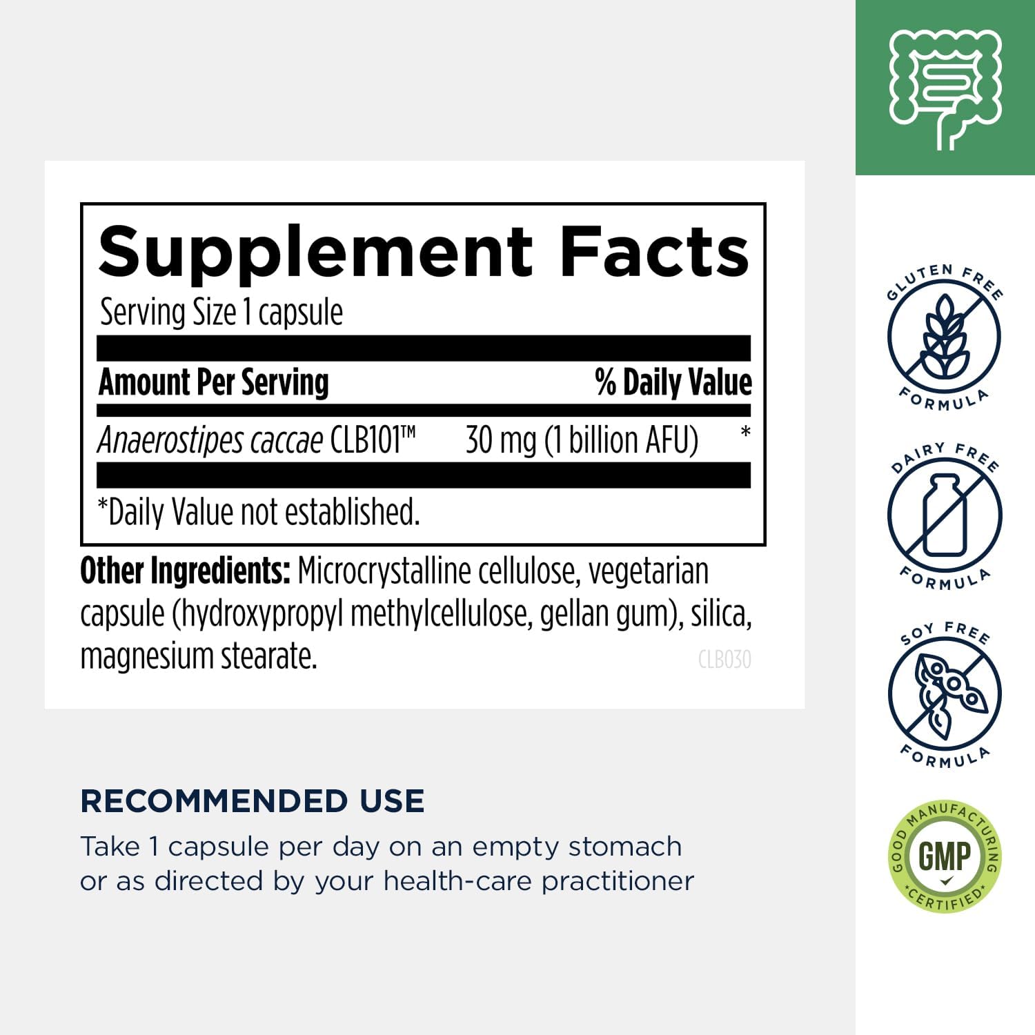 Designs for Health Anaerostipes Probiotic - 1 Billion AFU of Butyrate-Producing Probiotics for Gut Health Support, Microbiome Balance, and Immune Support - Live Probiotics, Gluten Free (30 Capsules)​ - Image 5