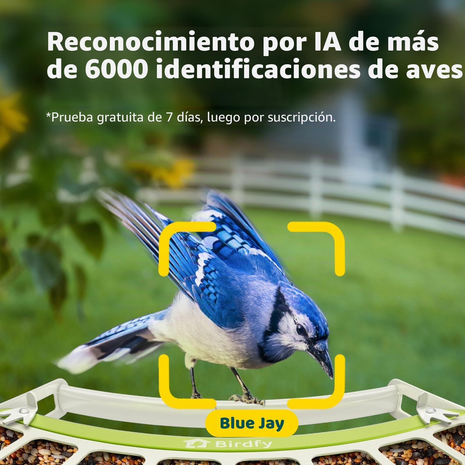 Birdfy Metal Comederos para Pajaros con Camara para Observación de Aves en Vivo, 1080P inalámbrico Bird Feeder con Visión Nocturna en Color, Notificaciones en Tiempo Real, Grabación Automática