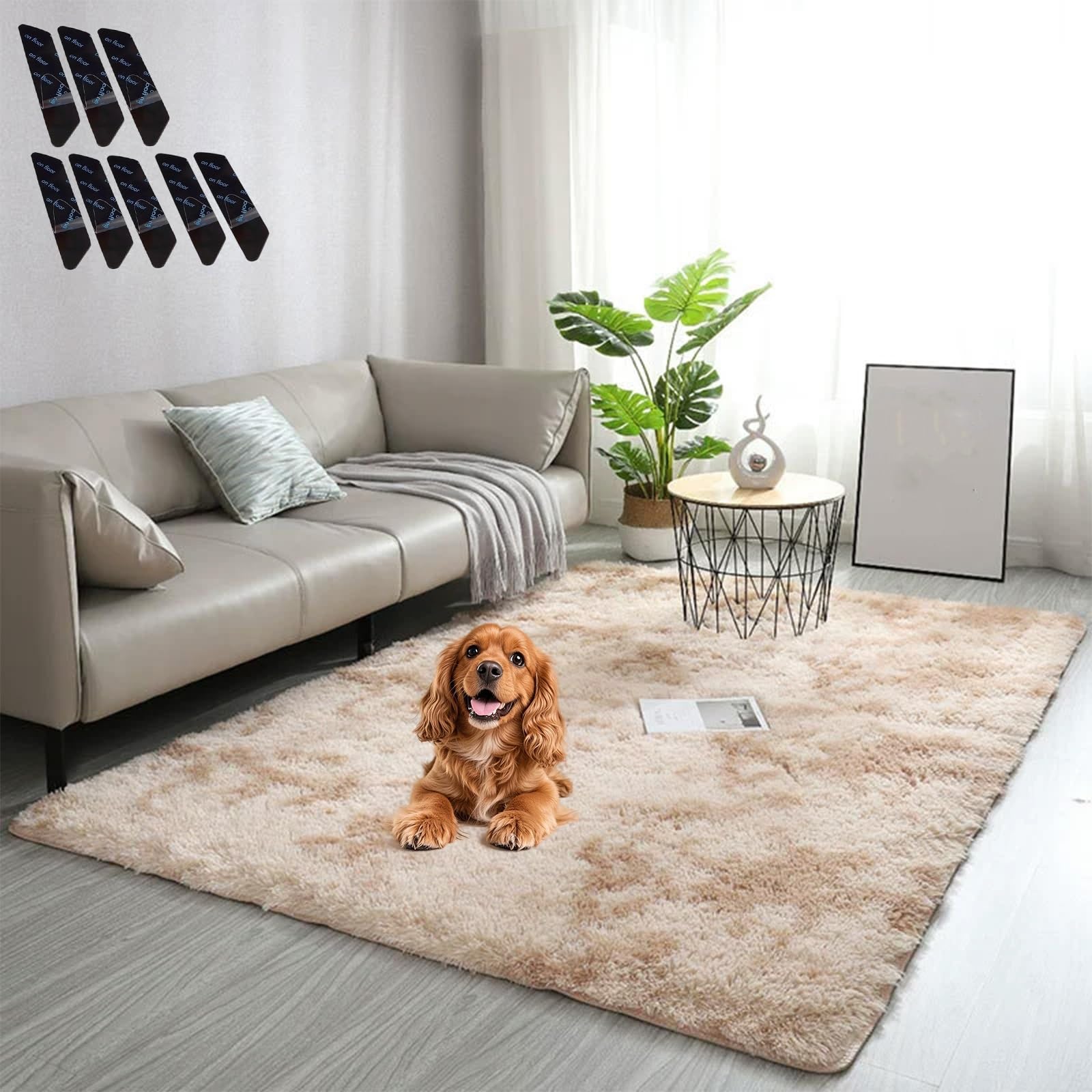 Liocwocne 2026 New Shaggy Rug, Gradient Color Plush Floor Mat, Ultra-Soft, Non-Slip & Machine Washable, Secure and Sturdier, Add Comfort to Your Home(E,100 * 160)