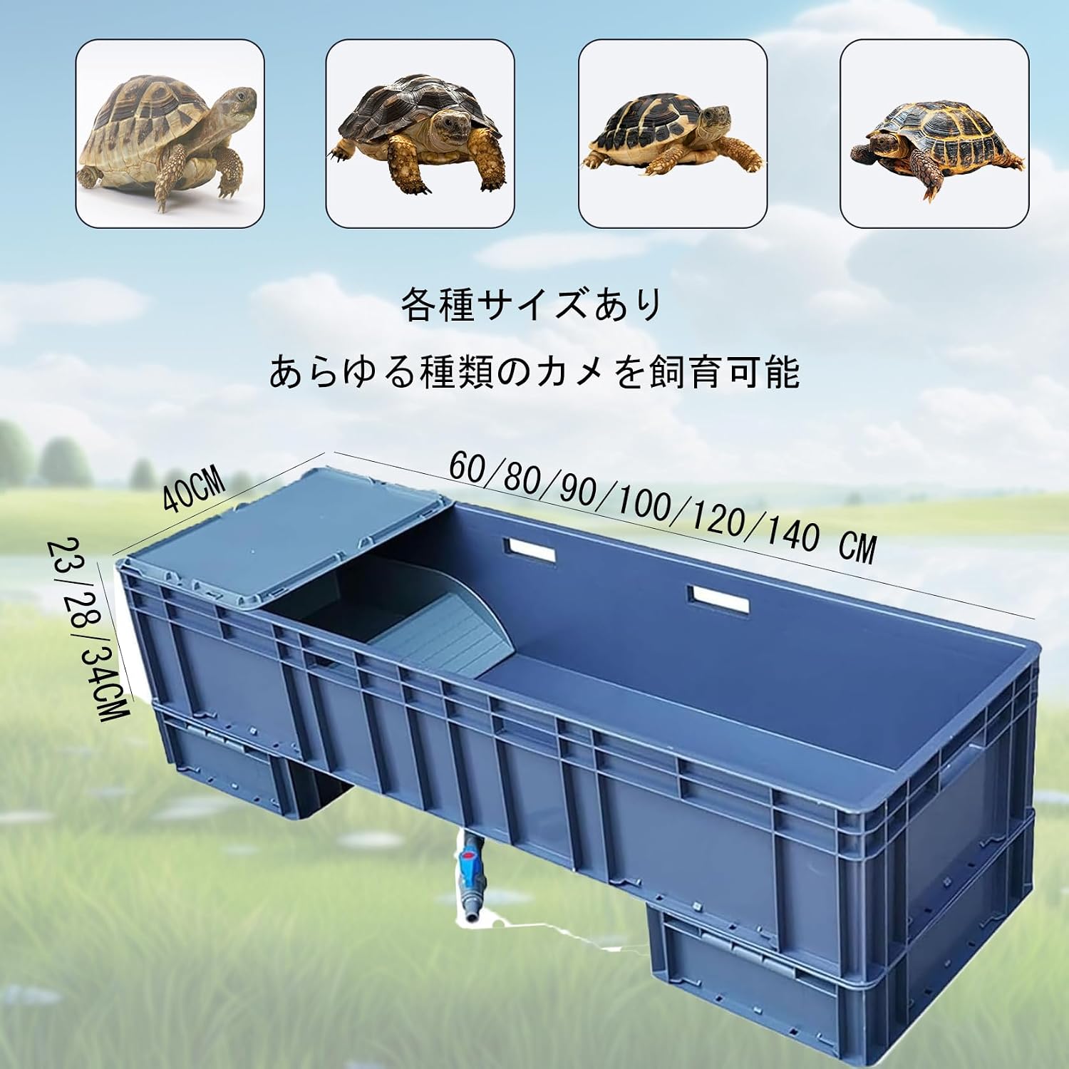 亀 亀飼育用水槽 カメ用水槽 大型カメ飼育ケース 亀水槽 大きい 亀観察