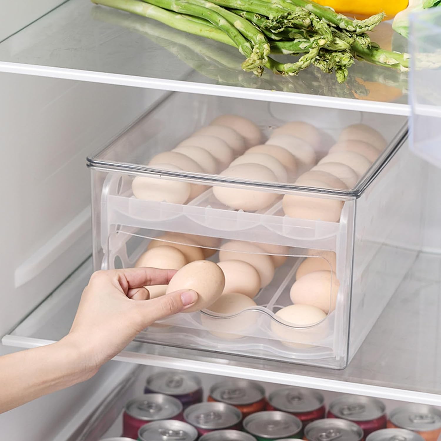 Egg Holder for Fridge Egg Holder Double Layer Automatic Rolling Transparent Slide Type Egg Storage Box for Home Egg Storage Box (Transparent)