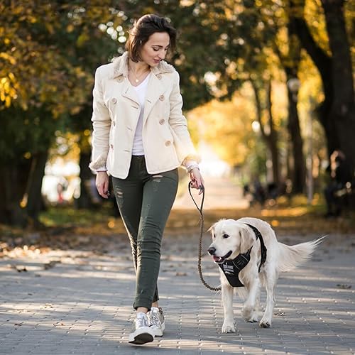 Miniatura 9 de BUMBIN Correa de perro de 6 pies para perros grandes, correa elástica para perro con 2 asas, correas resistentes para perros medianos y pequeños,