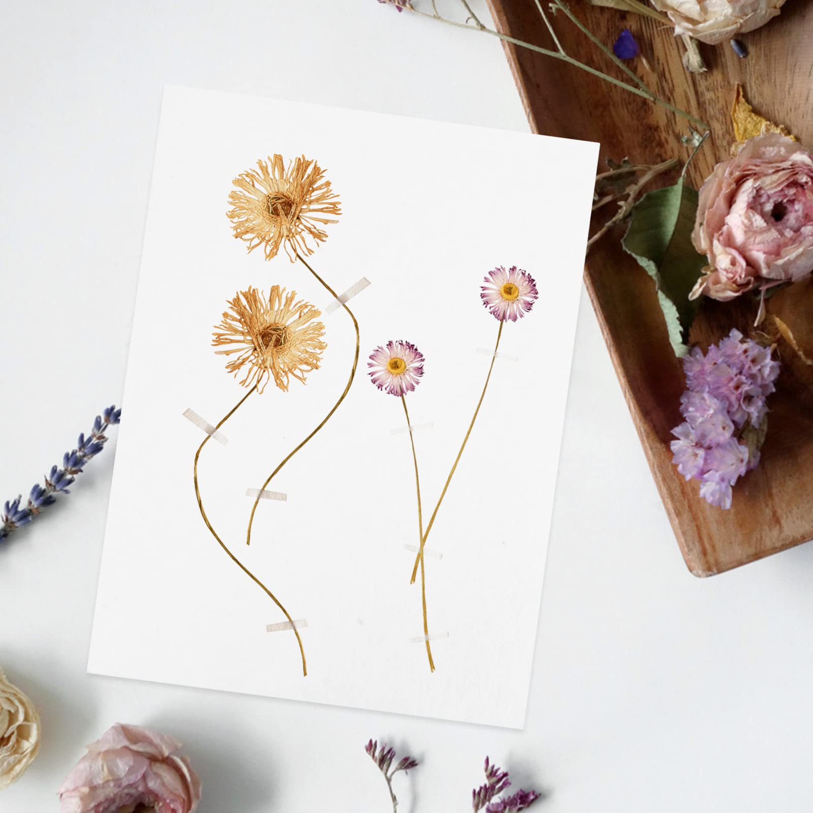 5pcs Grands Pochoirs Fleurs Sauvages, Réutilisables Pochoir Feuilles et Fleurs Modèles de