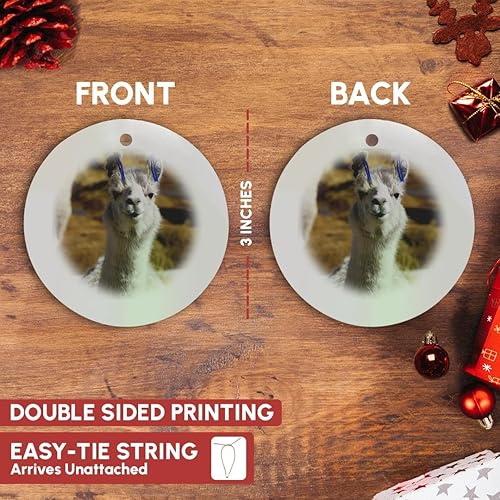 Miniatura 10 de 3dRose ORN _ _ _ _ _ _ _ _ _ _ 85310 _ _ _ _ _ _ _ _ _ _ 1 Argentina, Santa Rosa de los Pastos Grandes, llama Sa01 jri0222 Jutta Riegel Copo