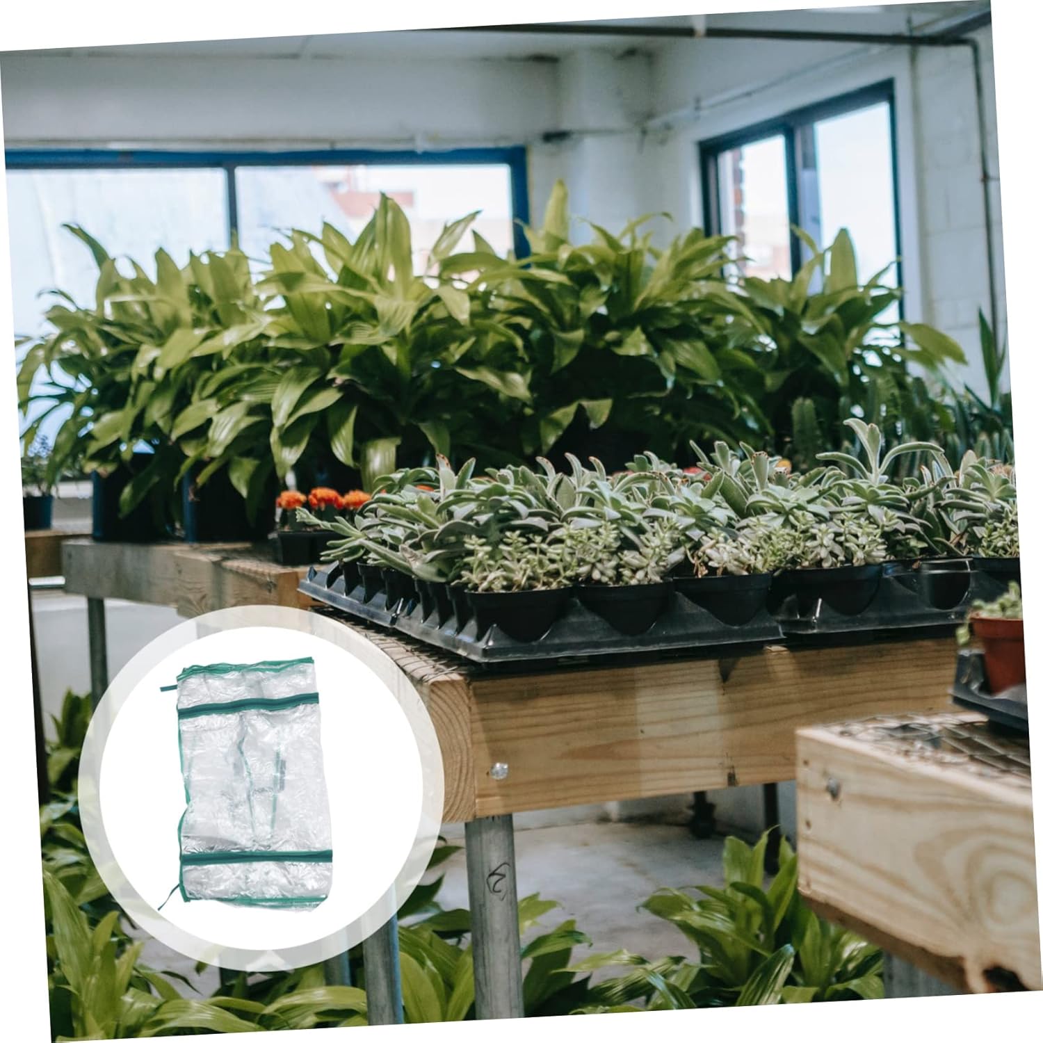 1pc Greenhouse PVC Cover for Plant Protection Four Design Frost Cover for Use for Gardens Flower Shops and Courtyards