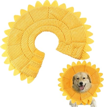 amazon buster collar