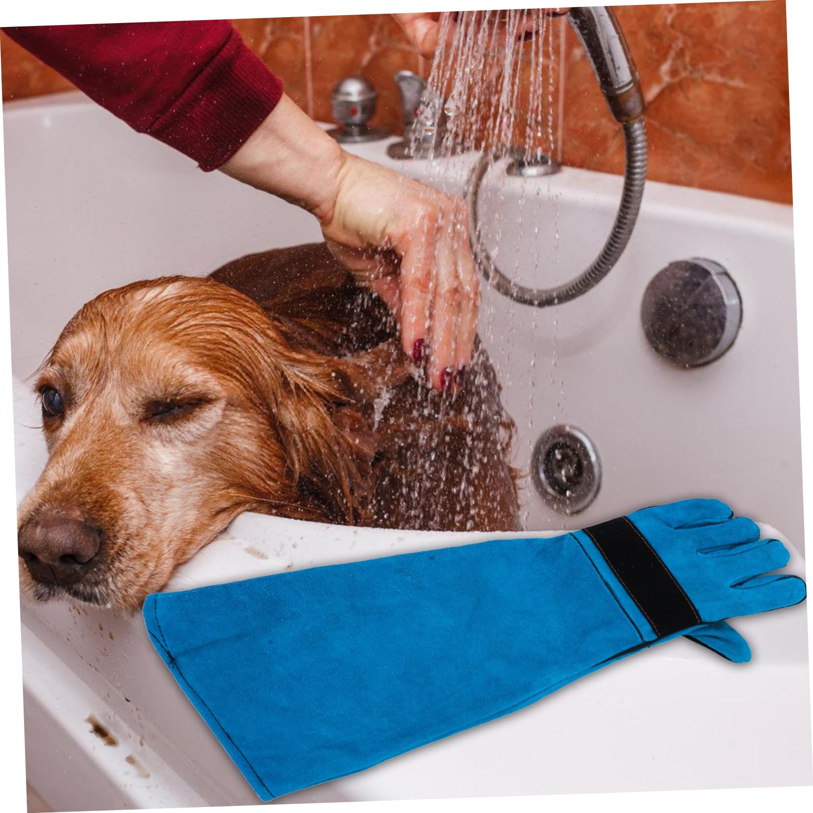 Moufles de Protection en Cuir de Vache pour Chien et Serpent, Ajustables