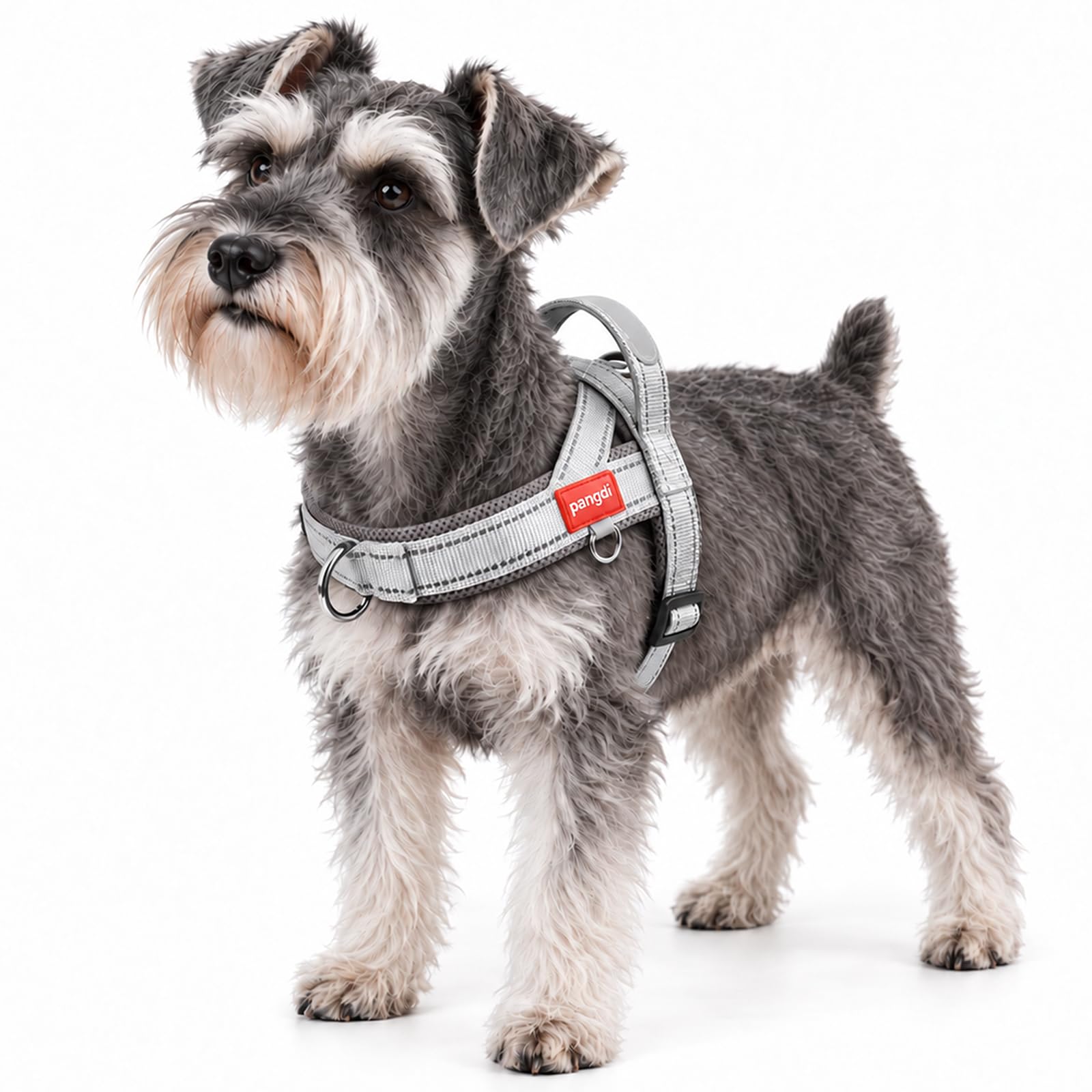 Photo 1 of m. Pangdi No Pull Dog Vest Harness