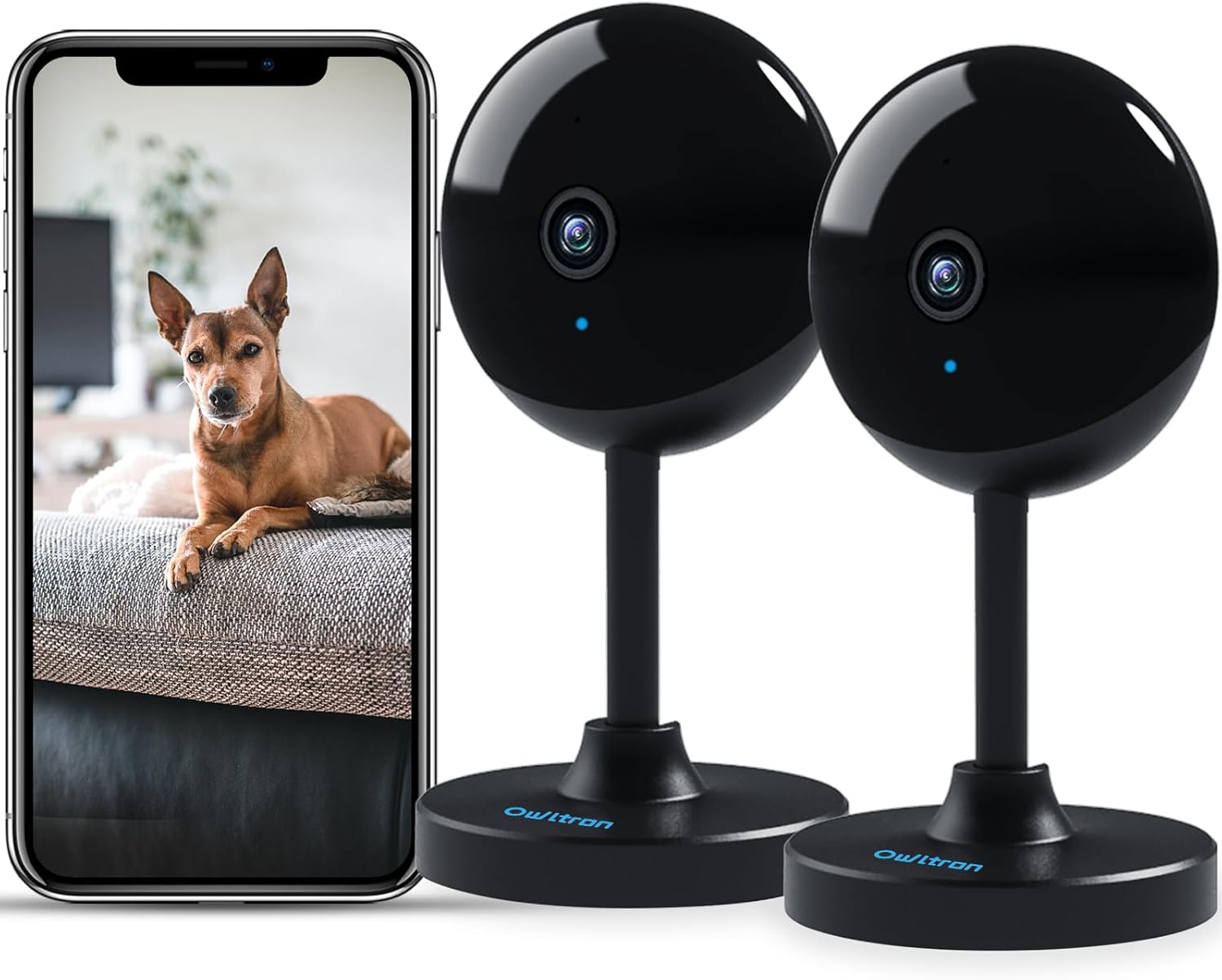 owltron Caméra Surveillance intérieure, caméra Chien détection