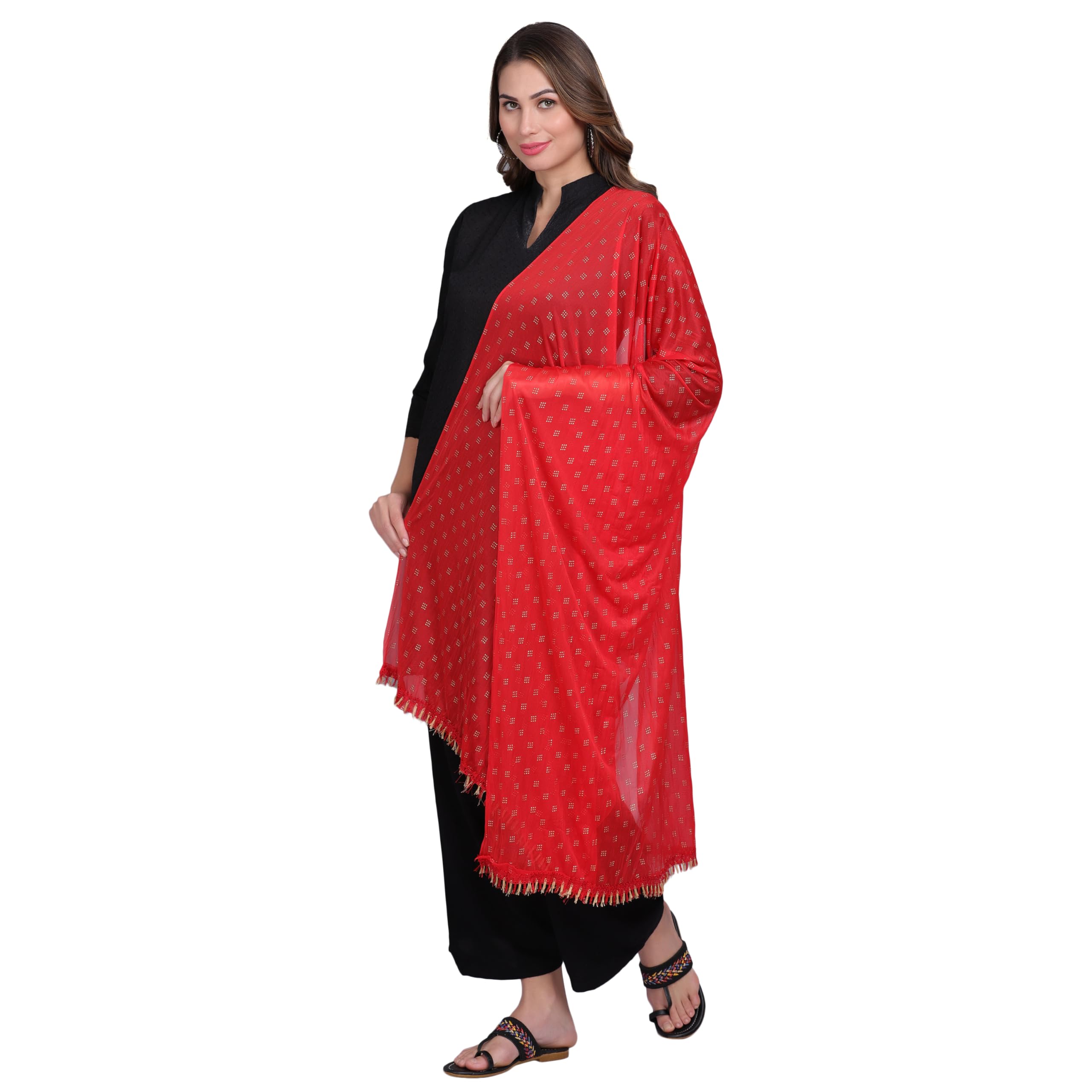 glaucus Traditional Embellished Dupatta, Net Motif, Fringe Border-picture-14