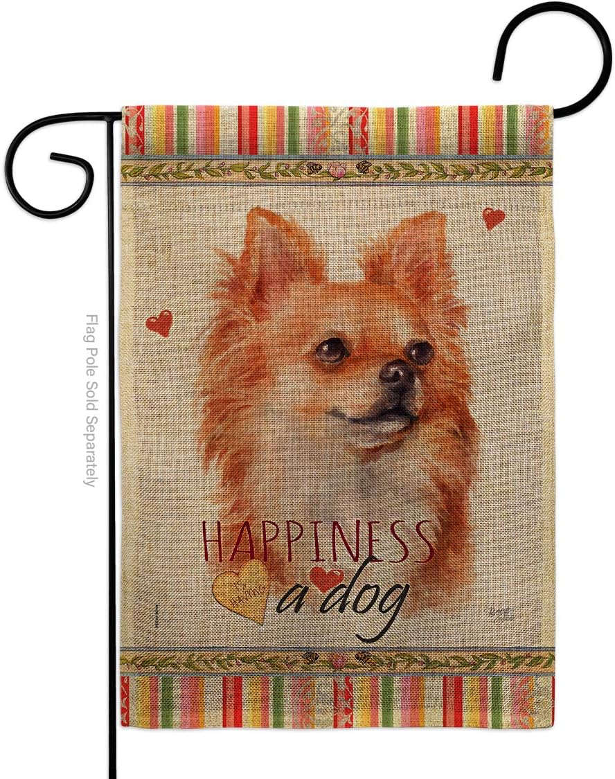 Brown Chihuahua Happiness Burlap Burlap Garden Flag Animals Dog Puppy Spoiled Paw Canine Fur Pet Nature Farm Animal Creature Small Decorative Gift Yard House Banner Double-Sided Made In USA 13 X 18.5