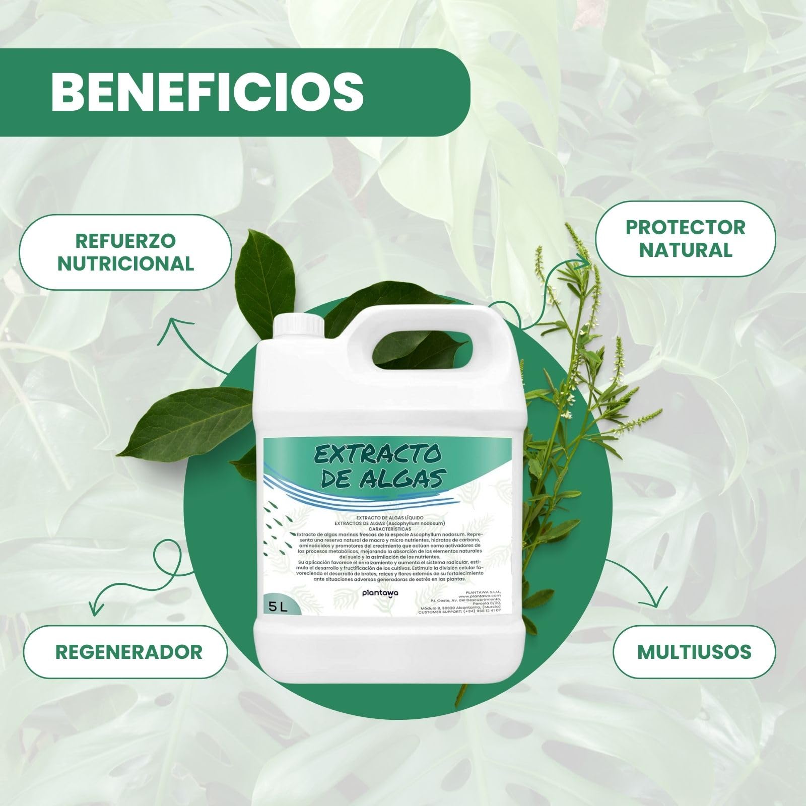 Plantawa Extracto de Algas Marinas Líquido 5 Litros | 100% Natural, Potenciador, Enraizante y Micorrizas.