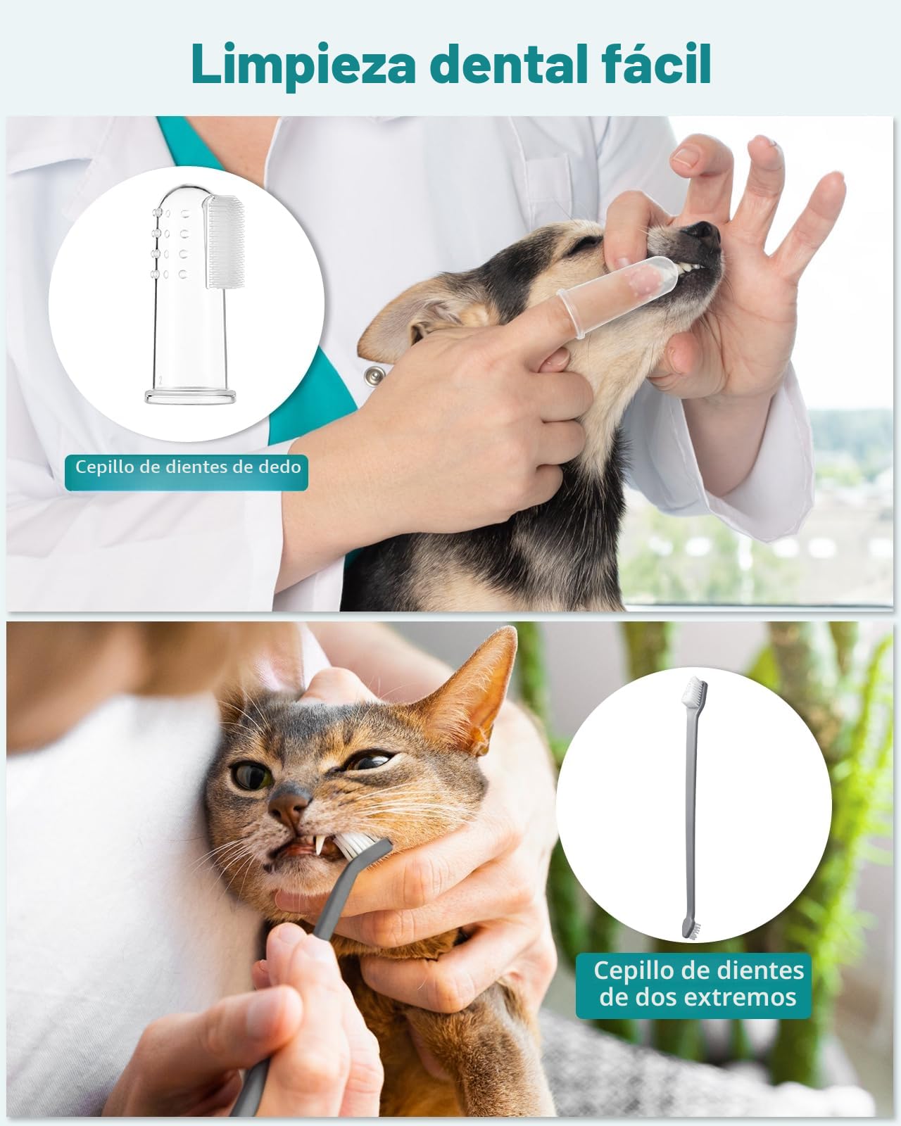 Kit de limpieza dental ultrasónico Petbank para perros y gatos, eliminador de sarro dental ultrasónico para perros y gatos, 5 modos de limpieza y 4 cabezales de limpieza para mascotas
