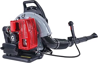 66CC Backpack Blower, 4-HP 2-Cycle Gas Leaf Blower with 880 CFM & 320 MPH, Backpack Leaf Blower, Powerful Clearing Performance for Wet Leaf & Debris Clean & Snow Removal