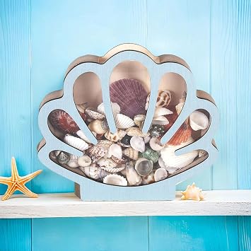 Shell Display Box Wooden Shell Collecting Box
