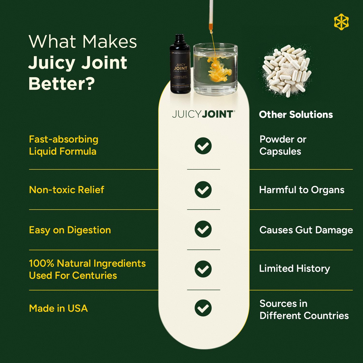 Juicy Joint Extract, 100% Plant-Based Joint Support Supplements - 1 Bottle — Amazon image 6
