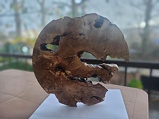 Live Edge Olive Wood Round Slab 20 inches for DIY and Epoxy Table, Ready to be Resin Table (1" Thickness)