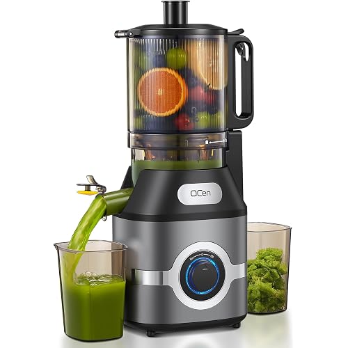 Cold Press Juicer Slow Masticating Machine with 5.5 Inch Chute(Gray) | Wide Feed Chute, For Whole Fruits And Vegetables, Easy To Clean, Gray Finish, Slow Juicing For Fresh Juice