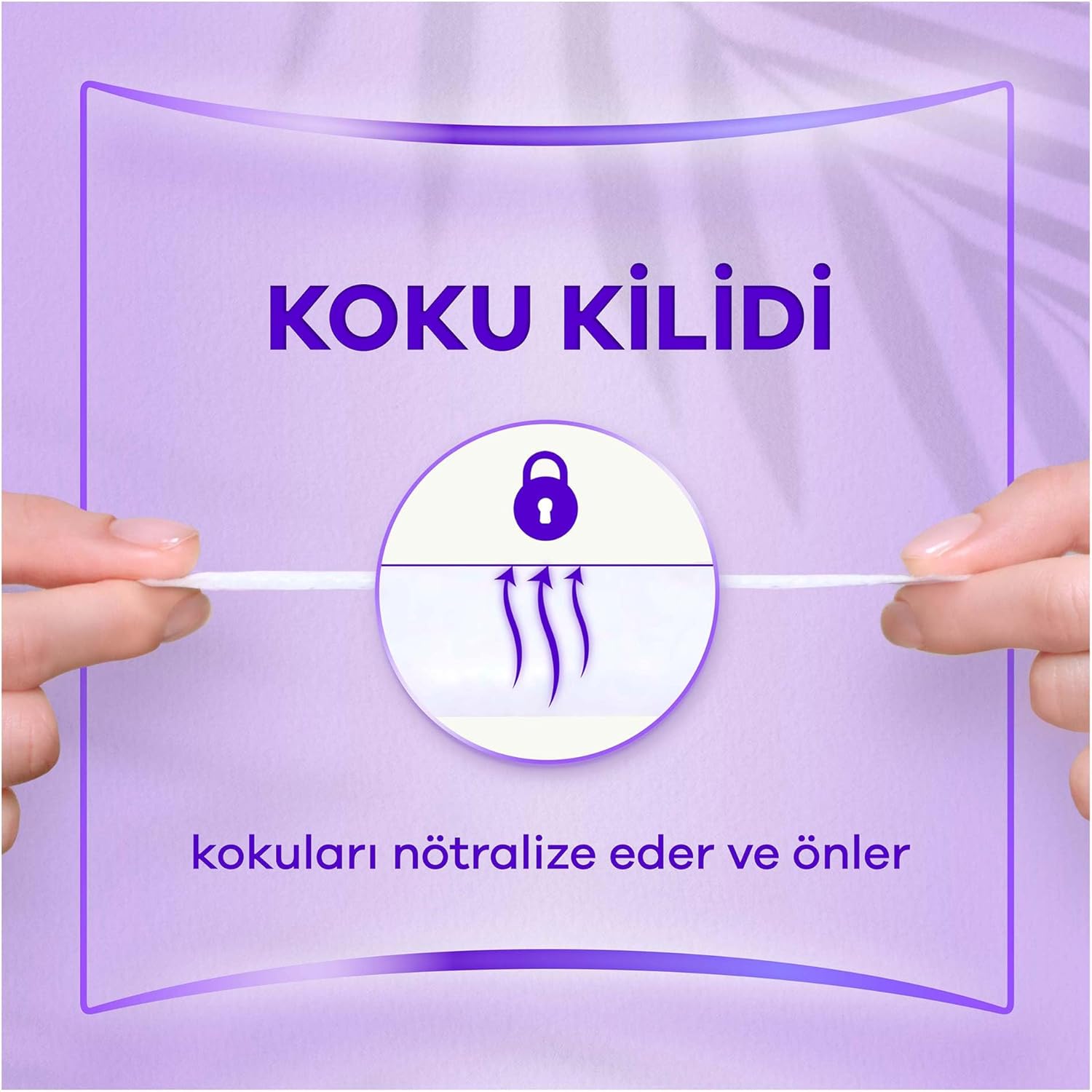 Orkid Günlük Ped Normal Dev Ekonomi Paketi 80'li