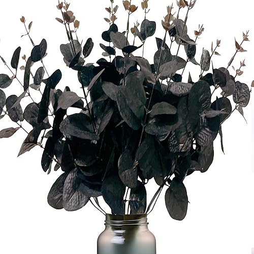 5 Pack 13.4 Inches Black Eucalyptus Stems, Black Flowers and