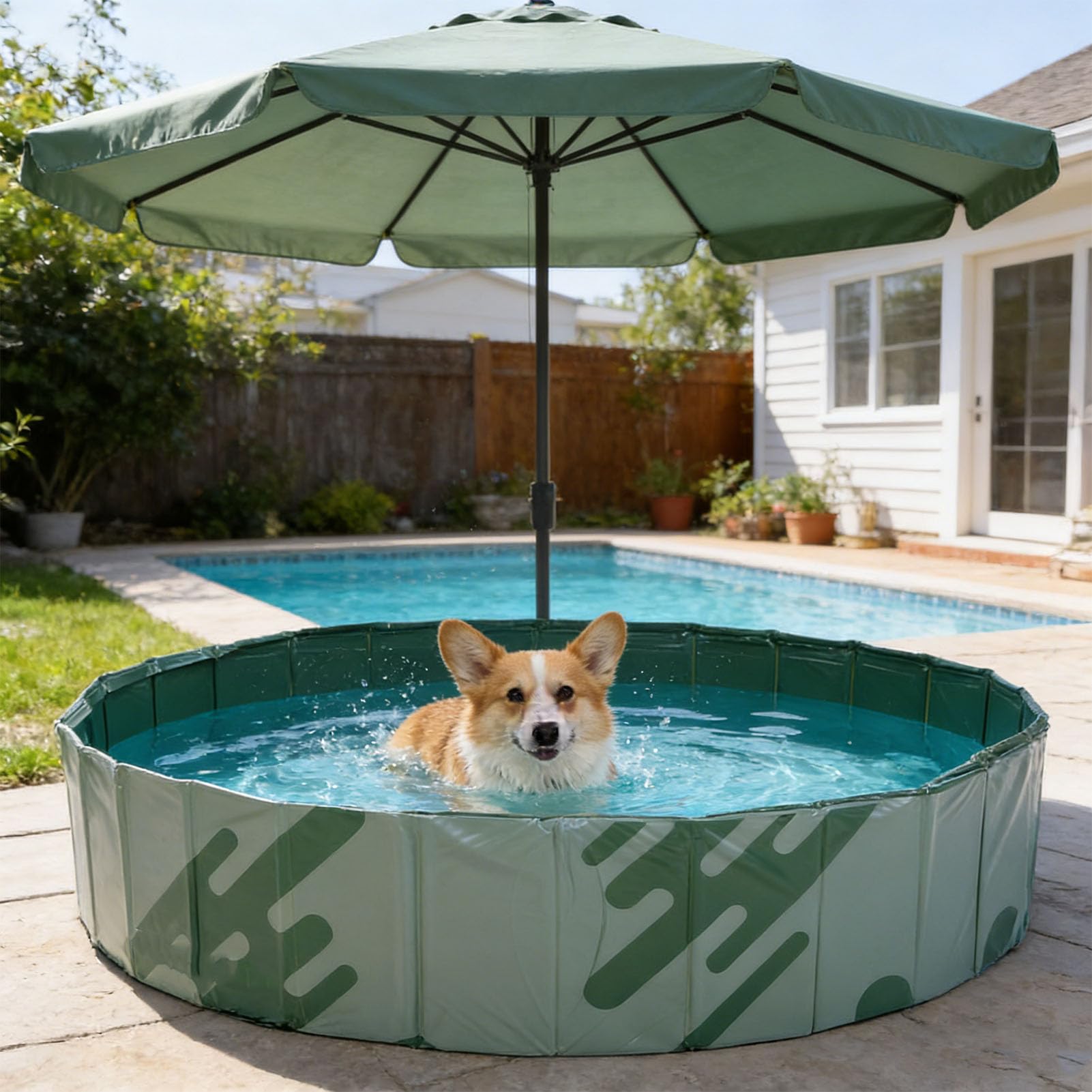 Piscina Pieghevole, Piscina All'aperto in Plastica Non Gonfiabile per Cortile, Vasca da Bagno Portatile Pieghevole per Animali Domestici per Cani, (Avventura nella Natura Selvaggia Verde)