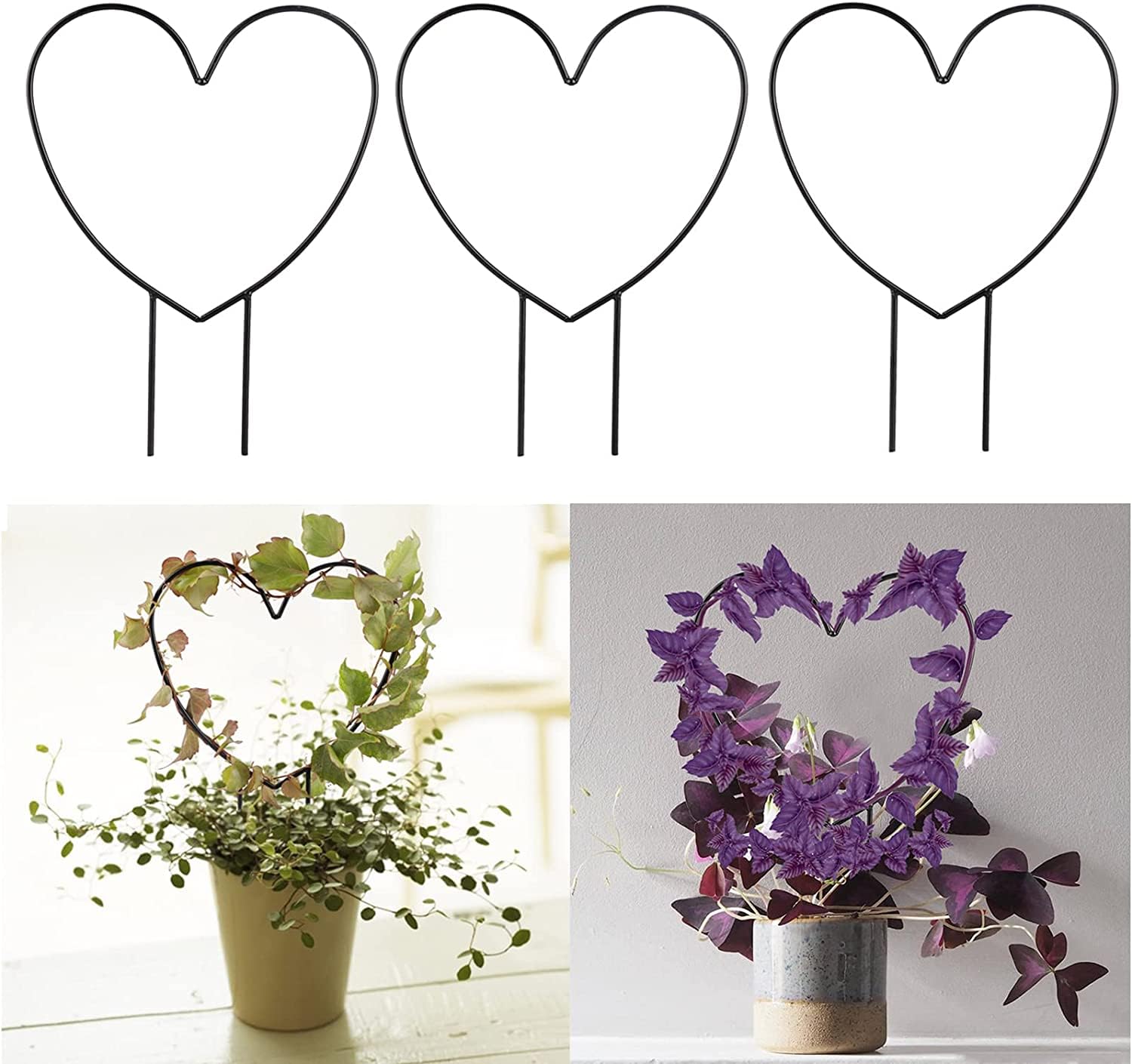 See full amazon price history chart for Ingo 5Pcs Trellis for Potted Plants, Metal Garden Trellis for Climbing Plants, DIY Decorative Potted Plants Climbing Holder Rack for Houseplant, Vine Climbing Plants, Ivy, Clematis (Heart Shaped) Ingo 5Pcs Trellis for Potted Plants, Metal Garden Trellis for Climbing Plants, DIY Decorative Potted Plants Climbing Holder Rack for Houseplant, Vine Climbing Plants, Ivy, Clematis (Heart Shaped) (B0CHWWLPMB) Amazon Price History, Amazon Price Tracker