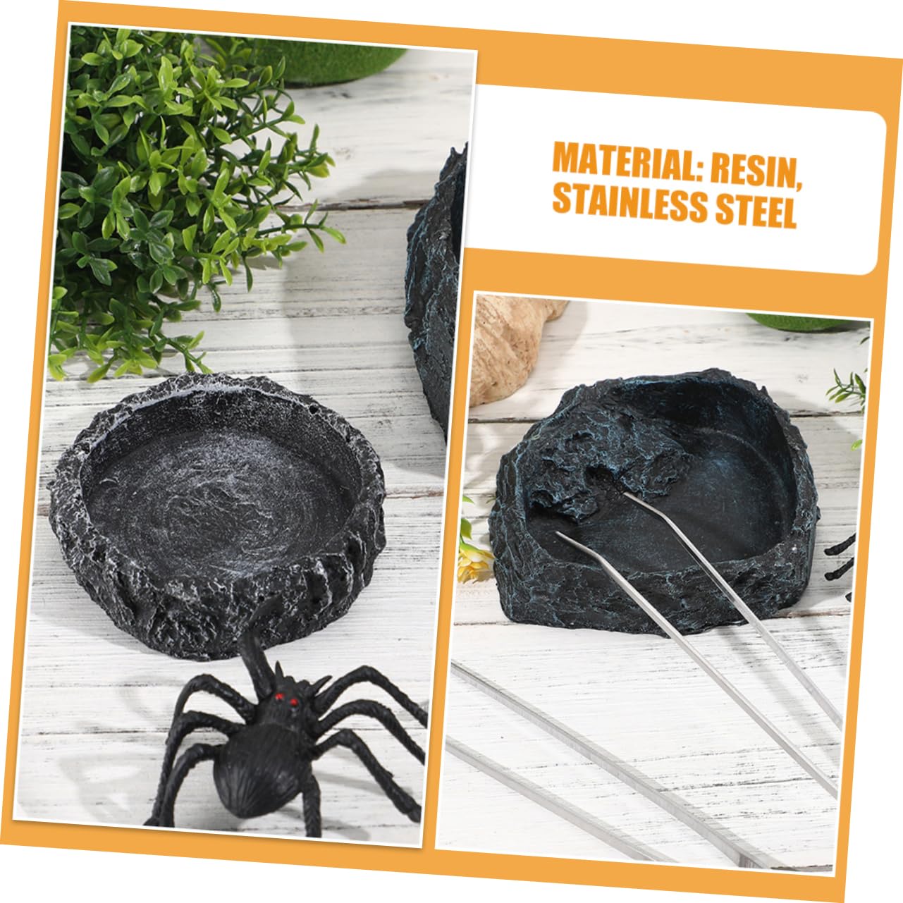 1set Ciotola per Rettili con Pinzette Completo per Alimentazione Draghi e Facile da e Maneggiare per Terrari e Habitat Reptiliani