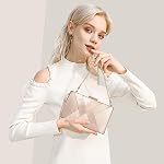 Larcenciel Women's Evening Handbags, Elegant Tassel Satin Clutch Purses for Bridal Wedding Guest Cocktail Dressy Prom Party