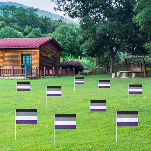 Vista 30 de GentleGirl Paquete de 12 banderas de arco iris del orgullo arcoíris, pequeñas banderas de mano gay LGBT Festival fiesta desfiles decoraciones Bander