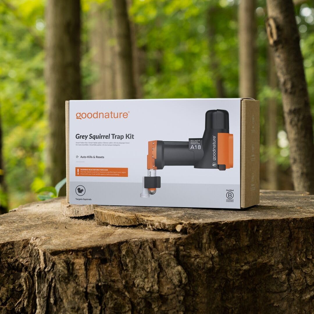 MCワークス グラビティ 835STR GRAVITY 835STR mcワークス グラビティ