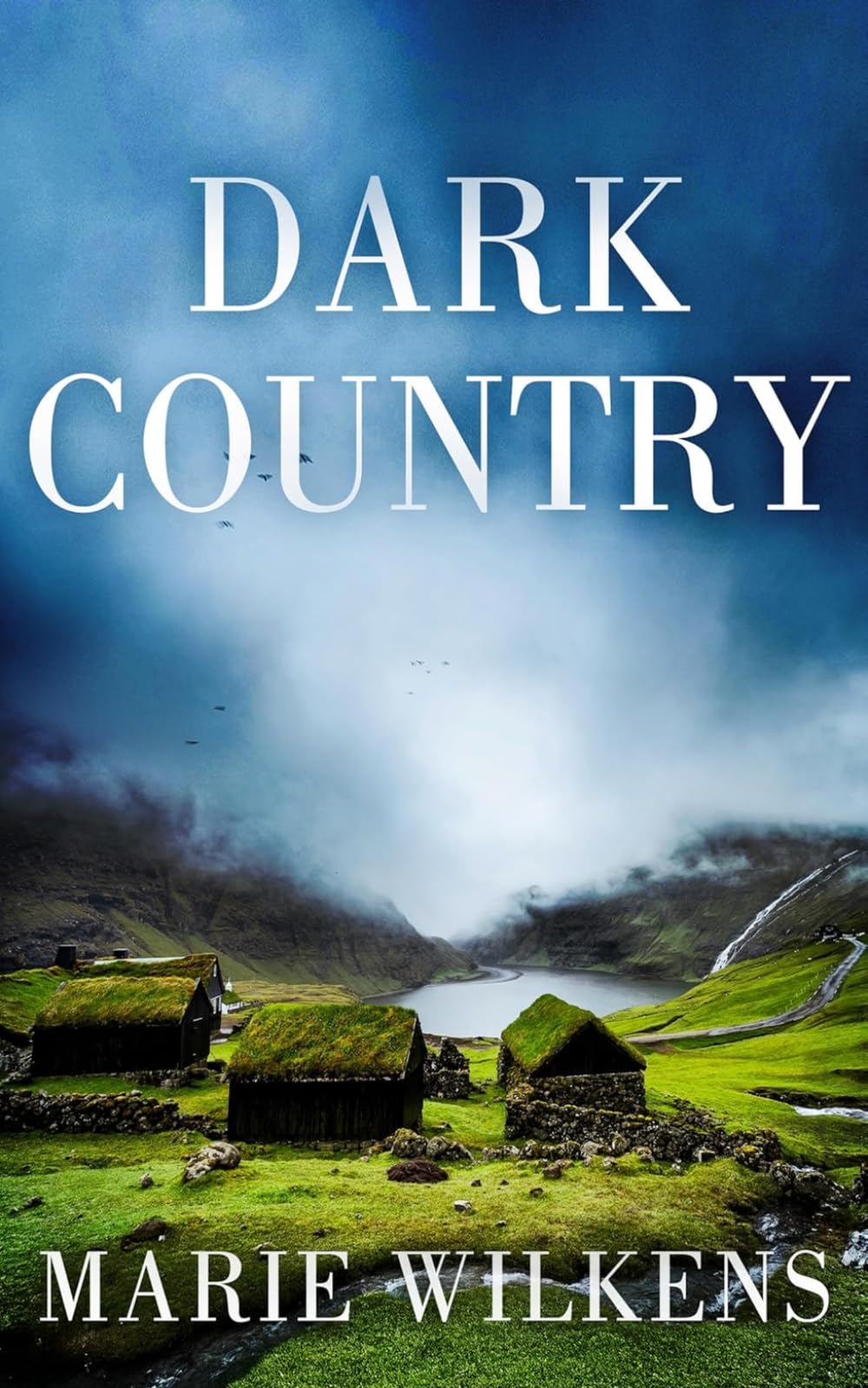 Dark Country: An EMP Post Apocalypse Prepper Survival Thriller (EMP Survival in a Powerless World)
