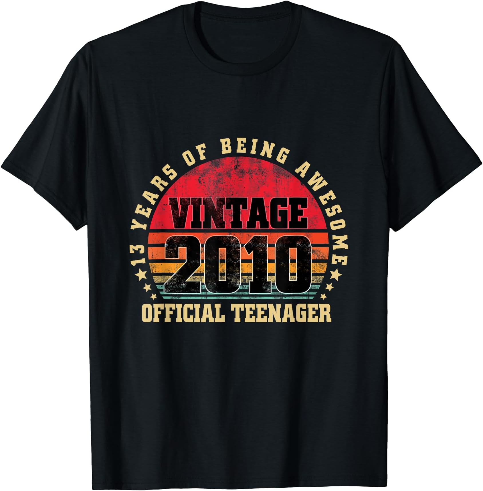 13 Year Old Vintage 2010 Official Teenager 13th Birthday T-Shirt