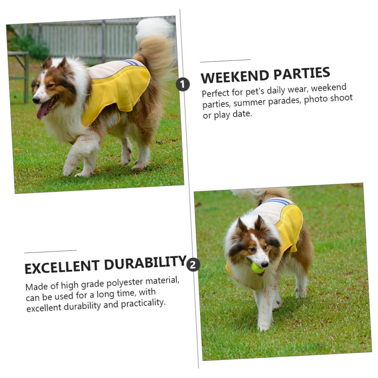 BESPORTBLE Gilet Rinfrescante Cane per Prevenire Colpo di Calore