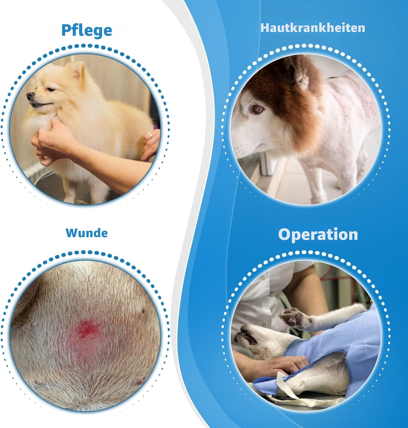 Obojok pre psov pri používaní