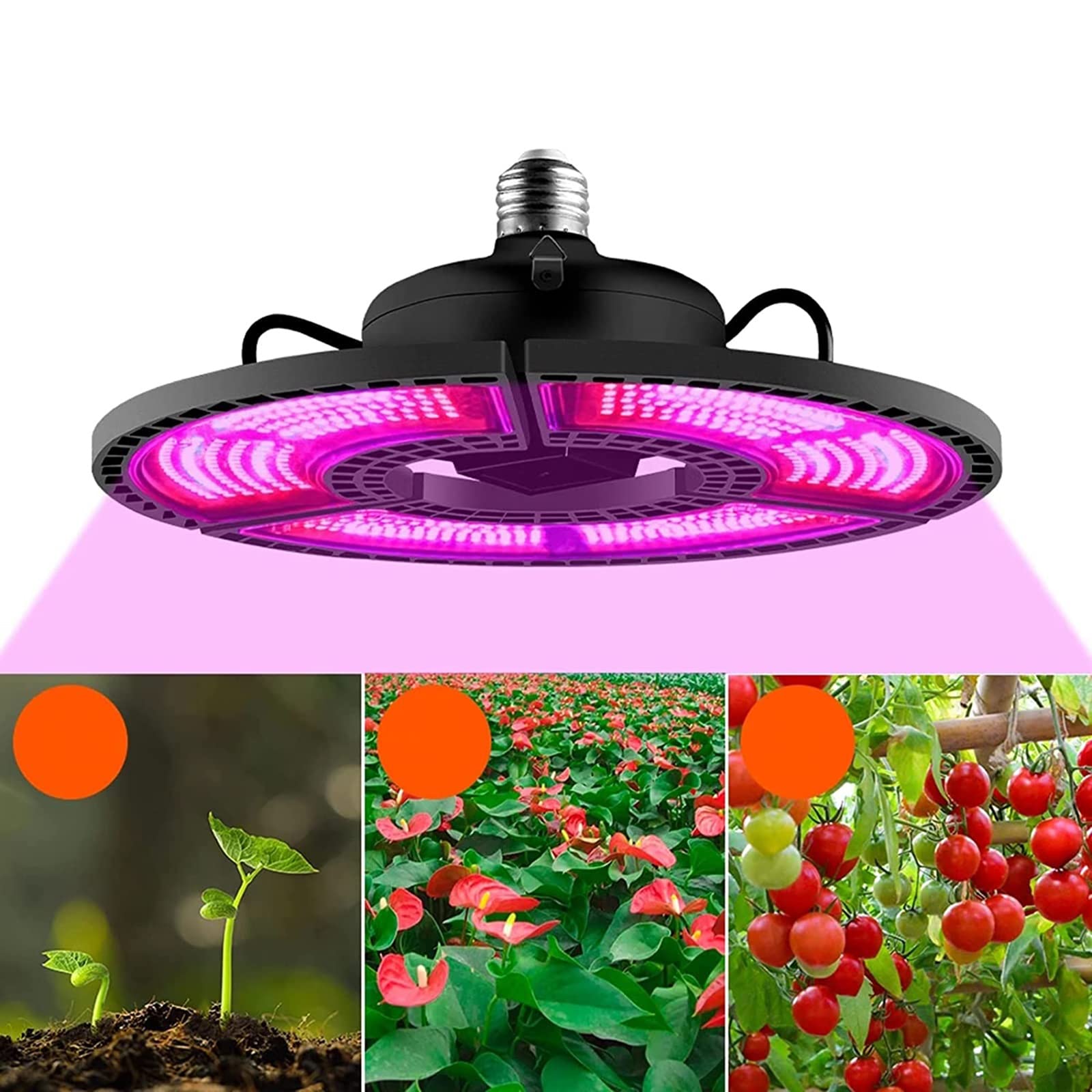 Kryty E27 Pełne spektrum 100W-288 diod LED Oświetlenie LED do uprawy, wodoodporne światło do wzrostu roślin z czerwonym i niebieskim widmem, dla roślin Ciepłe białe diody LED Namiot do uprawy (kolor