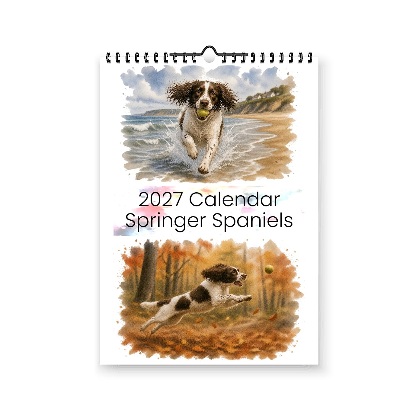 Springer Spaniel 2027 Yearly Wall Hanging Calendar - Splash Effect Watercolour Prints