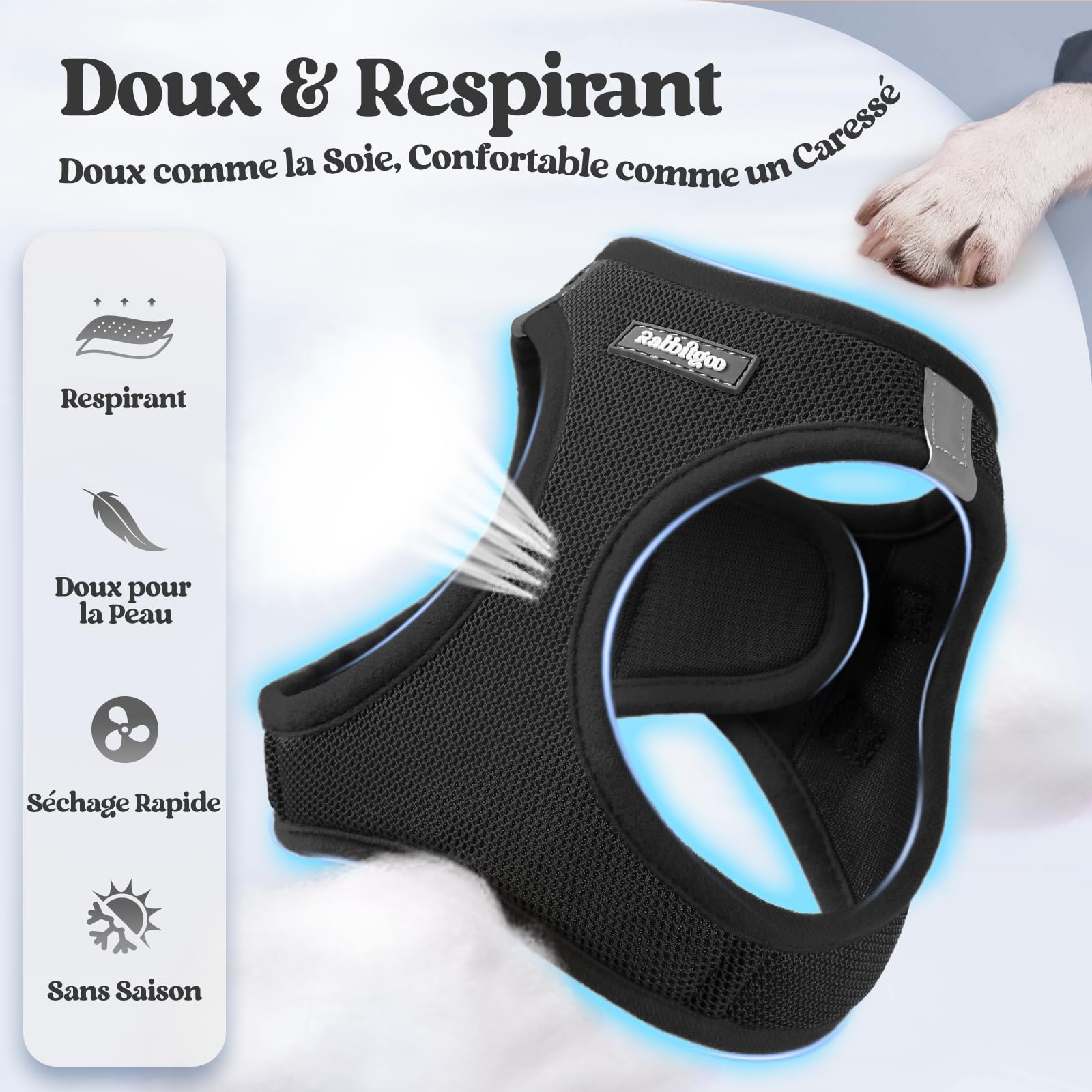 rabbitgoo Harnais Chien Petite Taille avec Laisse Réfléchissant, Harnais Chiot en Maille Souple, Gilet Réglable Facile à Mettre, Arnet pour Chien Petit et Moyen pour Marcher Courir, Noir S