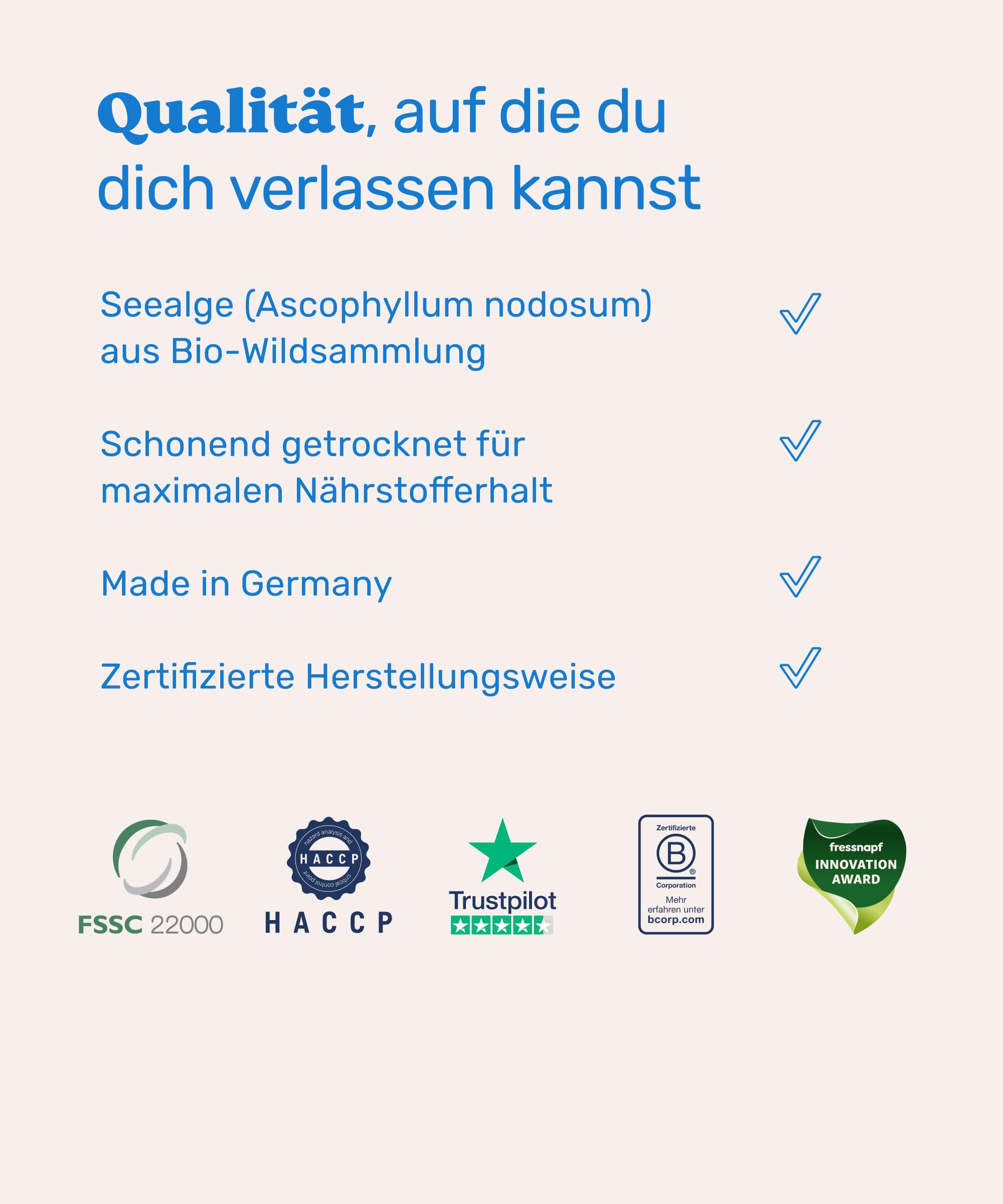 mammaly Zahnsteinentferner für Hunde - 98% Seealgenmehl mit Zink - Pulver gegen Mundgeruch - Natürliche Zahnpflege & Maulhygiene - Mit Ascophyllum nodosum - Barf Mineralien Ergänzung - 150g
