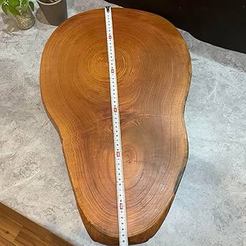 Amazon.co.jp: 833 切り株 丸太 輪切り 欅 一枚板 ディスプレイ