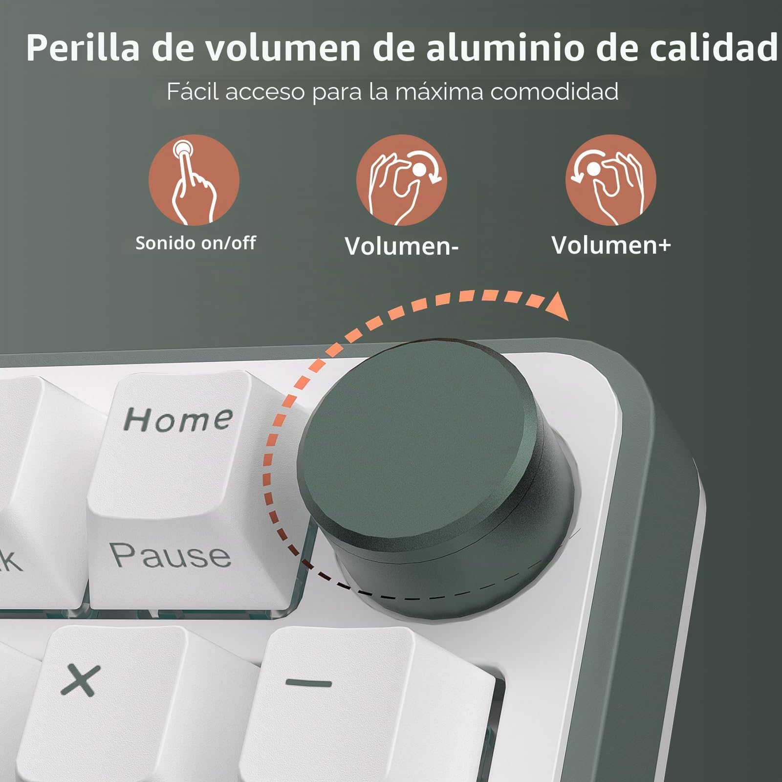 RK Royal KLUDGE C98 Teclado mecánico para Juegos, Interruptor magnético Efecto Hall, RGB Cable Intercambiable Caliente al 95%, rápida Ajustable, frecuencia sondeo 8K, Controlador Pro Web para Mac&Win