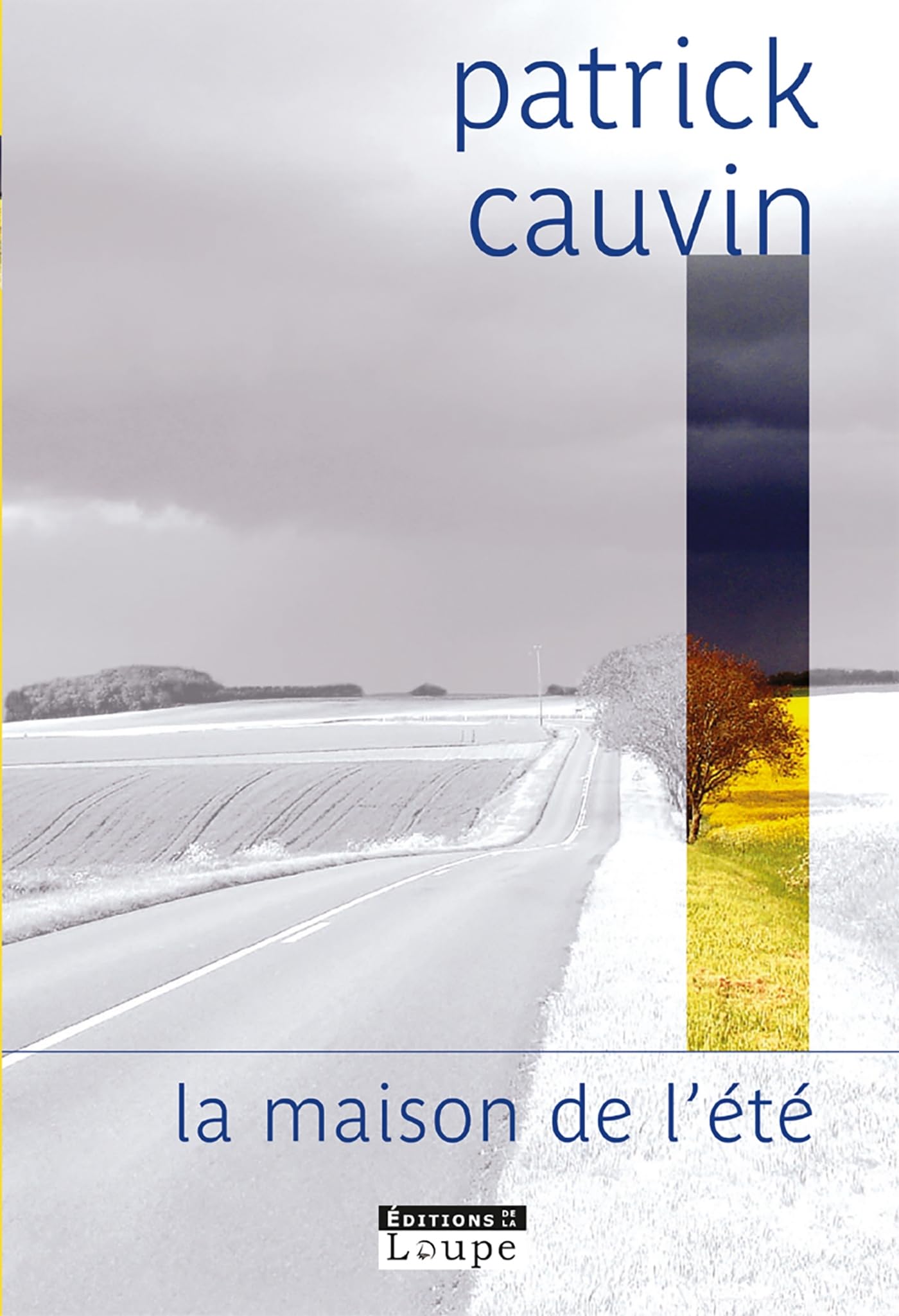 La maison de l'été Cauvin, Patrick