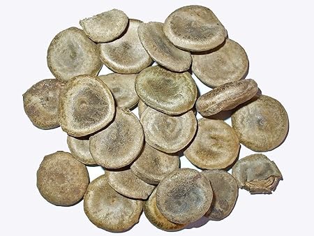 Uranciae Kuchla Seeds Nux Vomica Seed Strychnos Nuxvomica 150gm