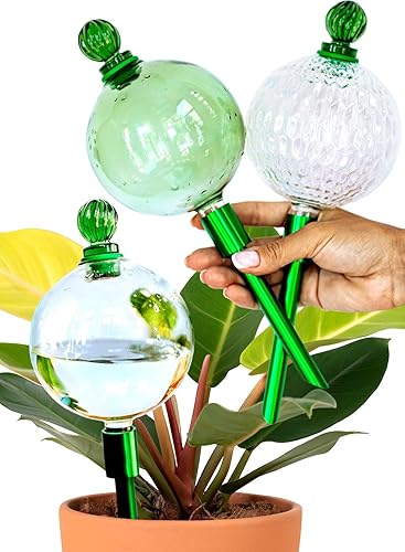 Globos de riego de plantas XL con inserto de metal de riego automático Globos de vidrio de alta calidad de 16 onzas de riego automático soplados a